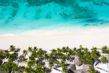 Aerial view on tropical island with coconut palm trees and caribbean sea