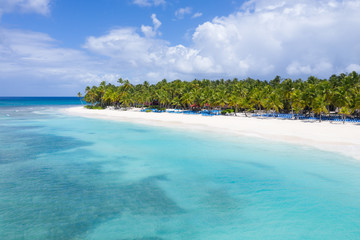 Naklejka na ściany i meble Aerial view on tropical island with palm trees and caribbean sea