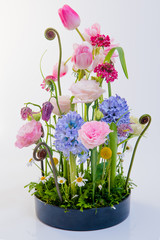 Colorful flower arrangement in front of white background, (tulip, hyacinth, orchid, fern,Texas bluebells, carnation)