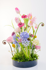 Colorful flower arrangement in front of white background, (tulip, hyacinth, orchid, fern,Texas bluebells, carnation)