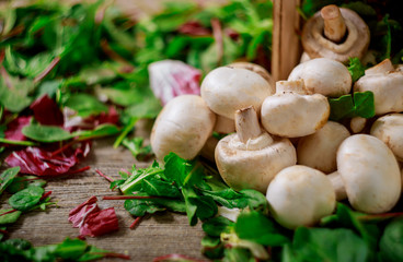 Basket salad with mushrooms, on rusty old background