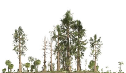 Forest of the mesozoic era isolated on white background 3D illustration