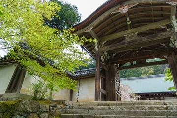 京都 二尊院 初夏