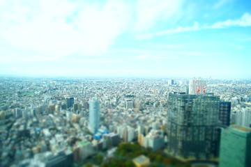 東京都庁展望台の眺め