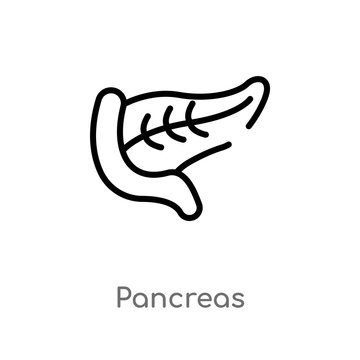 outline pancreas vector icon. isolated black simple line element illustration from medical concept. editable vector stroke pancreas icon on white background