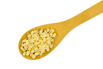 Wooden spoon with sprouted mung beans isolated on white background.