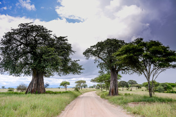 Landscape in Africa