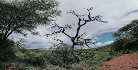 Landscape in Africa