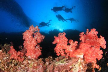 Fototapeta na wymiar Scuba divers on coral reef 