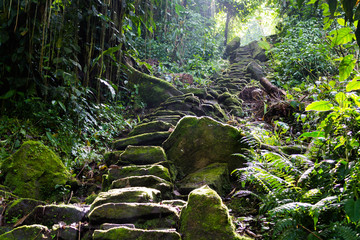 Lost in la Sierra Nevada de Santa Marta