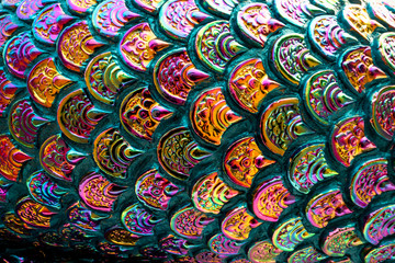 Colorful fish scale pattern with rough texture.