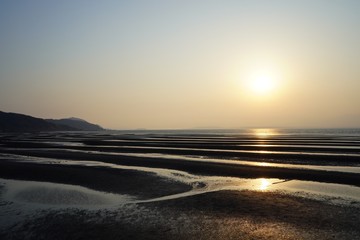 干潟が美しい午後の海岸の風景