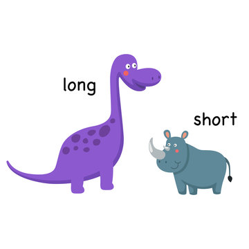Opposite long and short vector illustration
