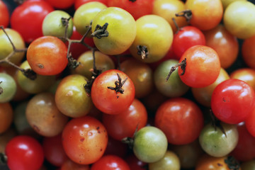 tomatoes on the table