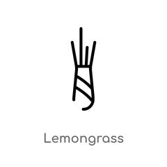 Fototapeta na wymiar outline lemongrass vector icon. isolated black simple line element illustration from nature concept. editable vector stroke lemongrass icon on white background