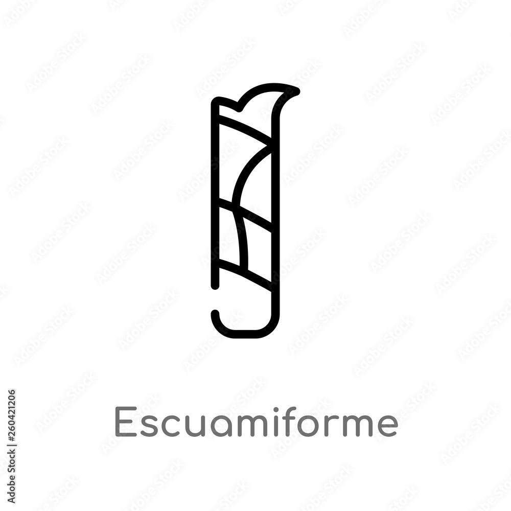 Poster outline escuamiforme vector icon. isolated black simple line element illustration from nature concep
