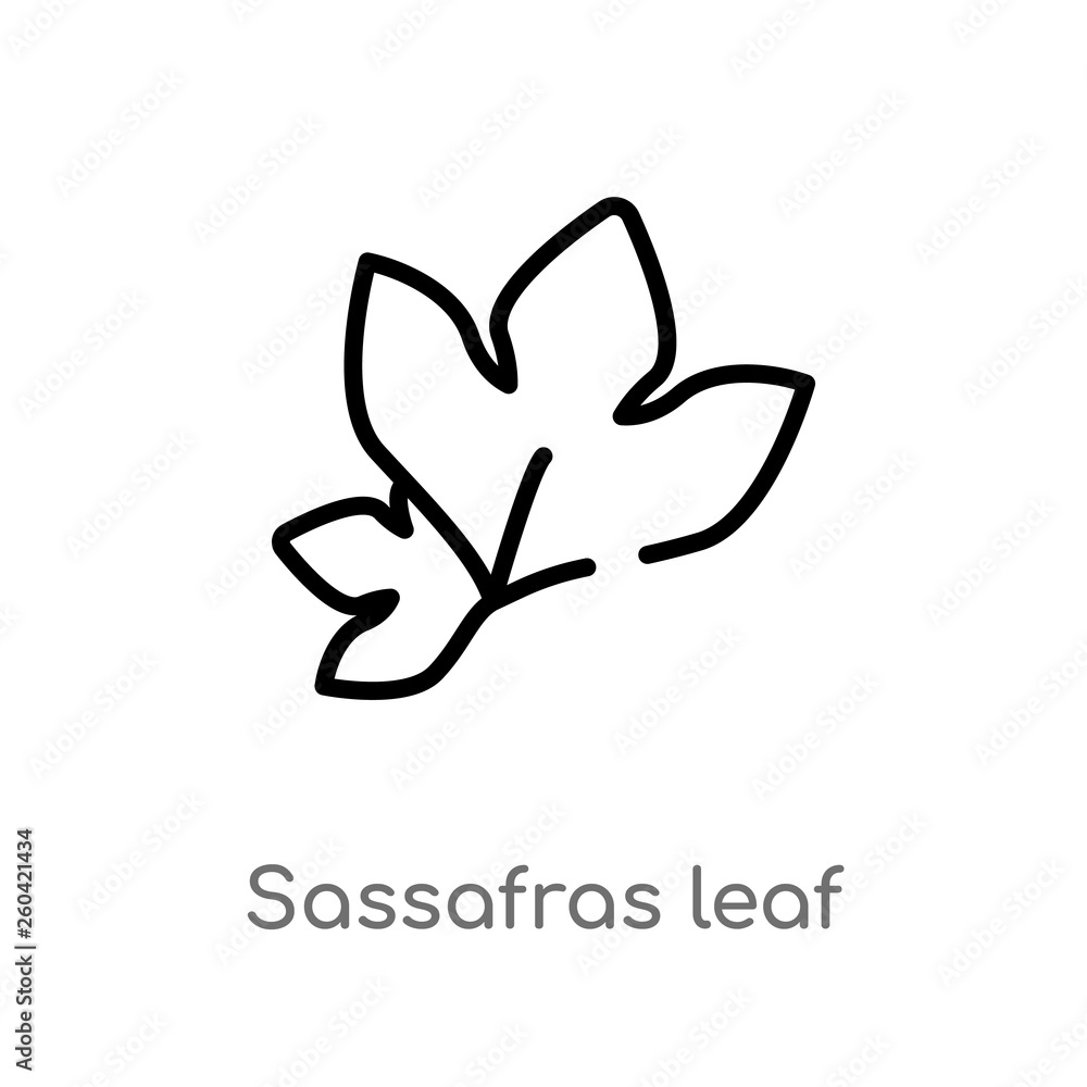 Poster outline sassafras leaf vector icon. isolated black simple line element illustration from nature conc