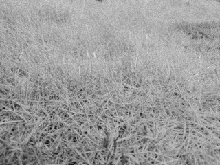 Abstract colored textures and backgrounds