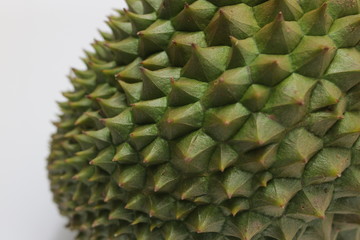 Durain Fruit on White Background