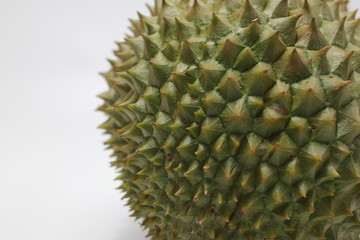 Durian, tropical Fruit form Thailand