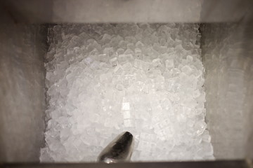 Ice cubes in the tank 