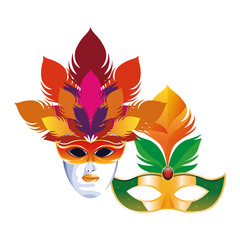 mask with feathers
