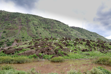 Fototapeta na wymiar Ngorongoro National Park