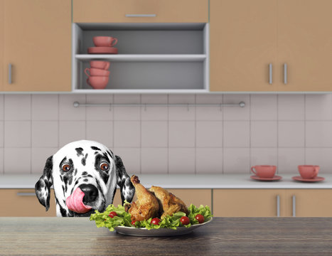 Cute dalmatian dog is going to eat some chiken from the table. 3d render