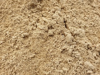 Abstract, Sand texture abstract background, Sandy beach for background, Top view, space for your text, Too soft