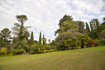 Arboretum Park. city park 