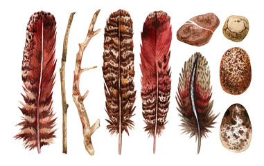 Watercolor hand drawn set of red and brown feathers, branches, pebble, egg isolated on white background