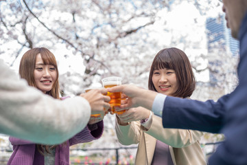 お花見　乾杯