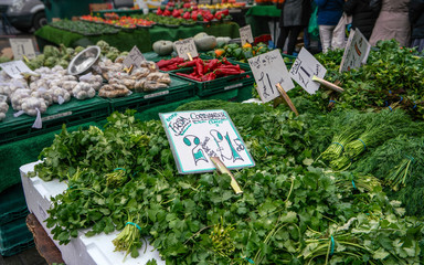 Coriander, dill, mint and other fresh green herbs displayed on street food market, Lewisham, London