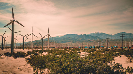 Desert Windmills