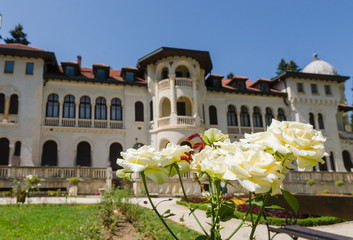 Vrana Palace