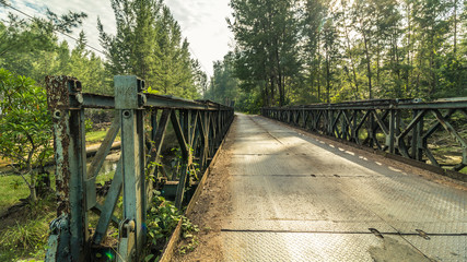 An empty old iron-bridge in a forest of Little Andaman, Andaman Islands in summer day, India