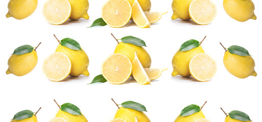 Citrus, fresh lemon, whole and slices, on a white background, arranged in rows