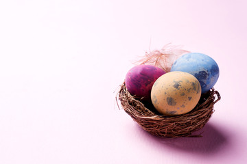 Colorful easter egg in the nest on pink background with copy space. Easter background. Minimalism