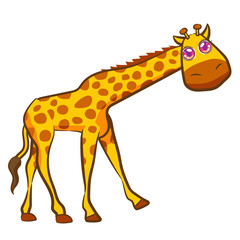 Fototapeta premium illustration of a giraffe