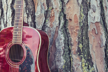 Close-up of acoustic guitar lying on a woodland, vintage style with copy space