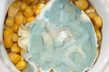 moldy canned corn in a jar. concept of spoiled unhealthy food. fungus.