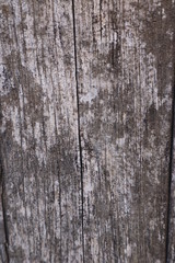 natural light wood texture background