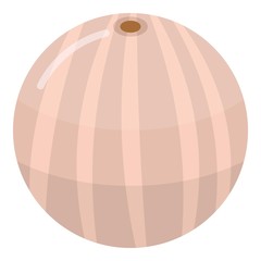 Clean lychees icon. Isometric of clean lychees vector icon for web design isolated on white background