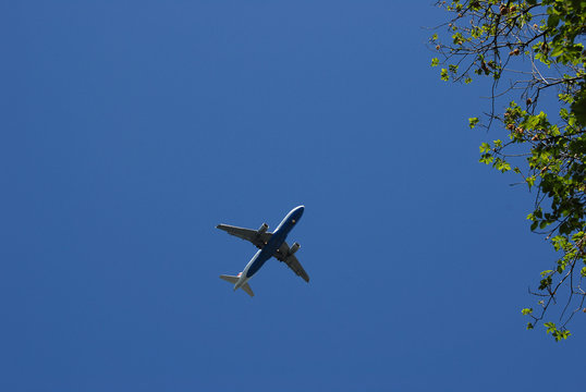 airplane photographed from below with a branch from a tree in the foreground. Clear blue sky. Copy space.