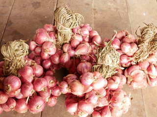fresh garlic or onion on the market