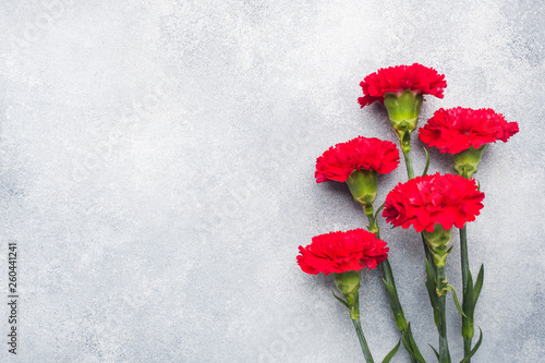 Red carnations on concrete background with copy space. Mother's Day card, Valentine's day.