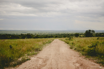 Fototapeta na wymiar Landscape in Ngorongoro