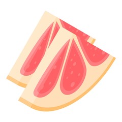 Slice of grapefruit icon. Isometric of slice of grapefruit vector icon for web design isolated on white background
