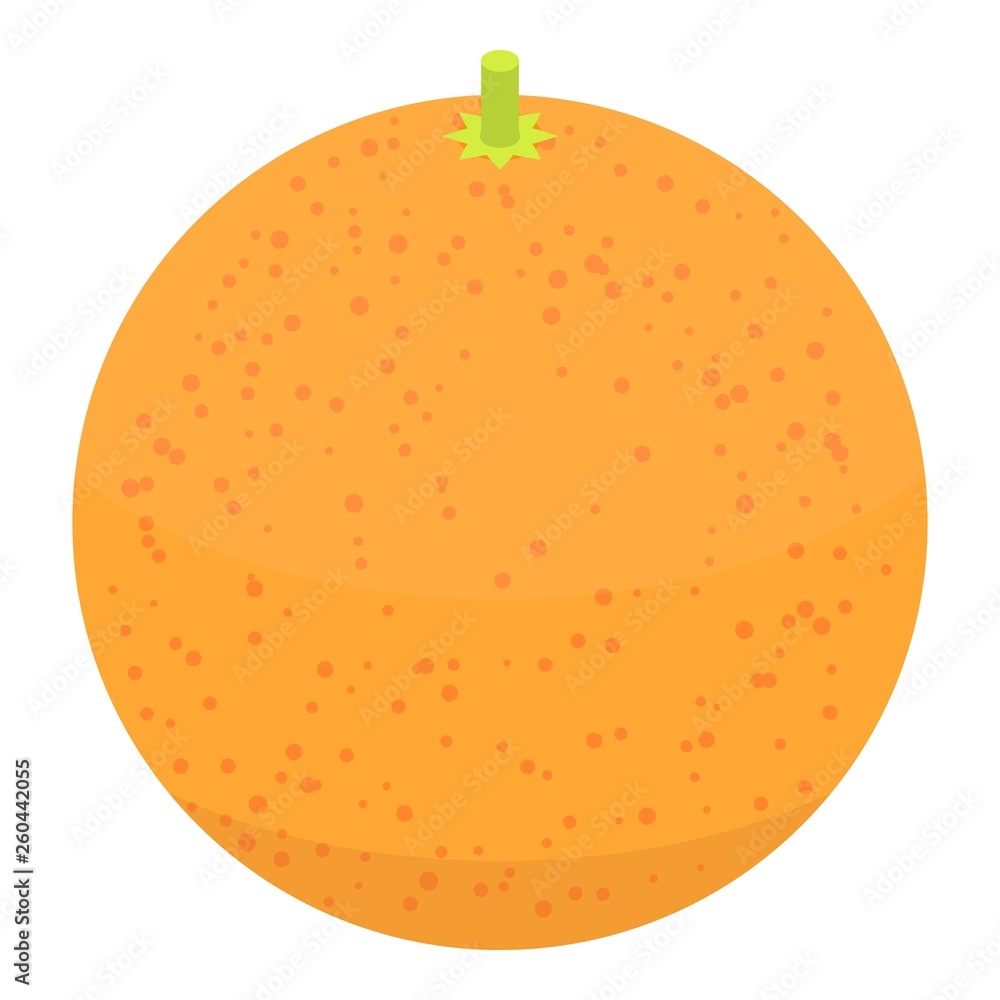 Poster whole grapefruit icon. isometric of whole grapefruit vector icon for web design isolated on white ba