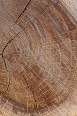 Naklejka premium natural light wood texture background